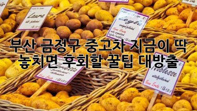 부산 금정구 중고차, 지금이 딱! ✨ 놓치면 후회할 꿀팁 대방출!